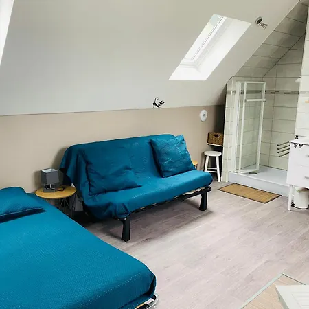 Apartment Chez Pat Et Olive - 4 Personnes- Bagneres De Bigorre