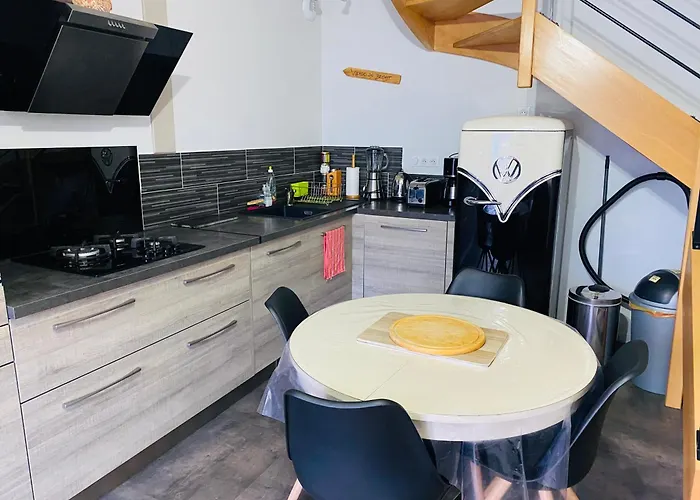 Chez Pat Et Olive - 4 Personnes- Bagneres De Bigorre Апартаменты